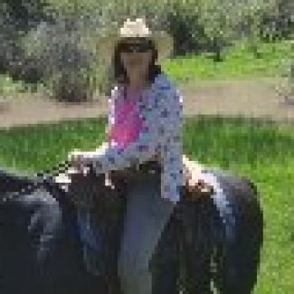 Profile picture of KRIS