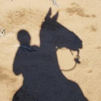 Profile picture of Karen Nunes