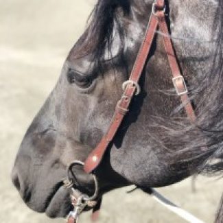 Profile picture of Shayna