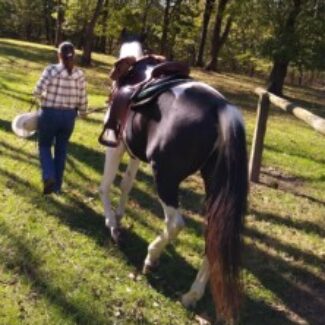 Profile picture of Nancy Schulze