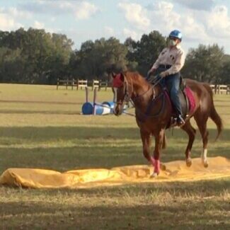 Profile picture of Renee Lewis