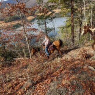 Profile picture of Lynda Palmer