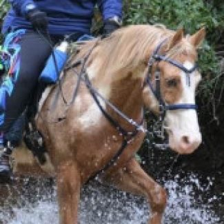 Profile picture of pamela reband