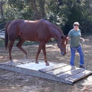 Profile picture of Beki McCall