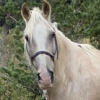 Profile picture of Tara Smith